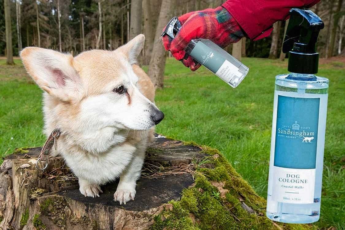 Королева Елизавета, вместе с артизанальным парфюмерным брендом  Norfolk Natural...