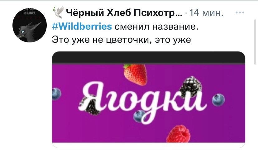 «А когда были цветочки?»

Новость выше – чистое сокровище, чтобы поднять...